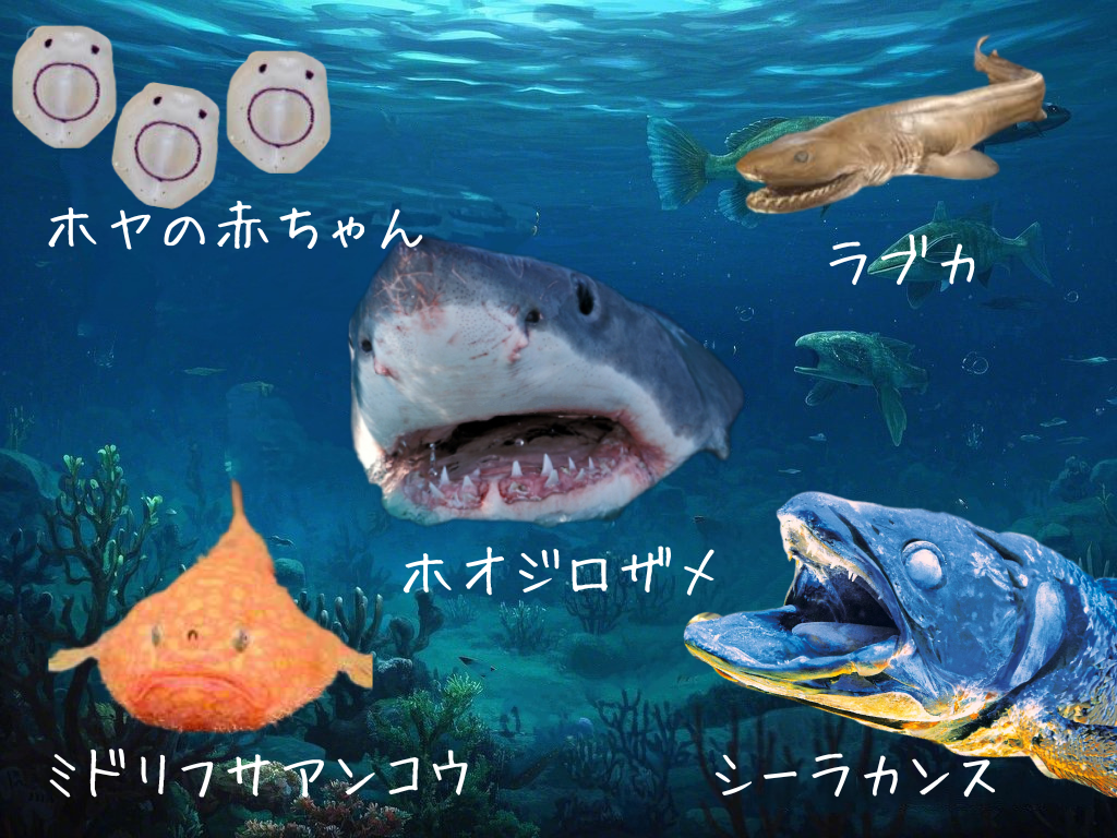 新作ミニチュア】海の仲間、レアな深海魚たくさん入荷しました